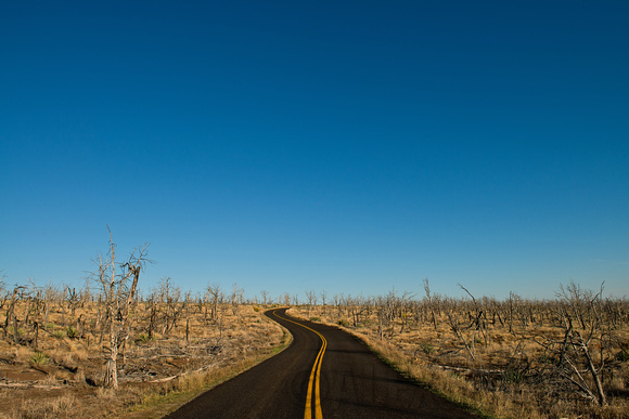 Mesa Verde Roadway