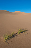 Great Sand Dunes National Park, Colorado